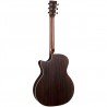 martin gpc -16e-sitka palissandro