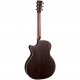 martin gpc -16e-sitka palissandro