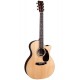 martin gpc -16e-sitka palissandro