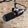 FOCUSRITE DM14V MICROPHONE
