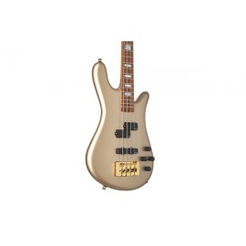 SPECTOR DW 4 TRUE
