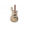 SPECTOR DW 4 TRUE
