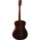 EKO WOW A 800E SPRUCE COCOBOLO