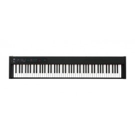 Korg D1
