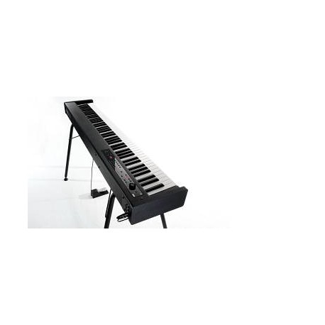 KORG D1